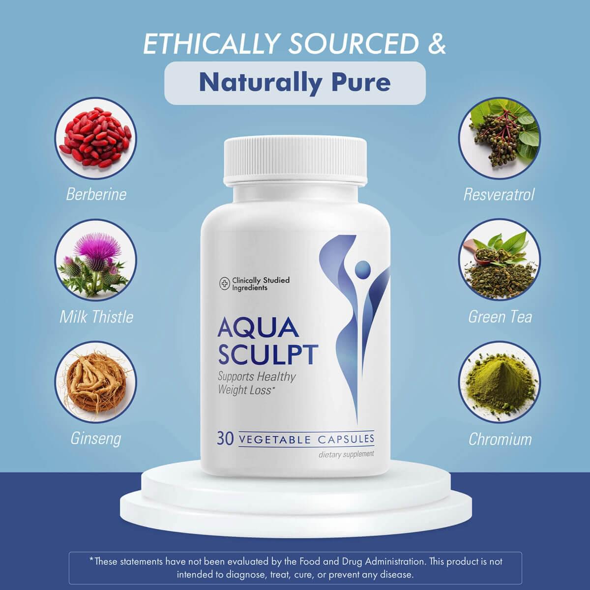 Aqua Sculpt Reviews – Does It Actually Work? Surprising Results
